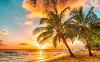 Resort Concierge Escapes Barbados Concierge Travel Reviews